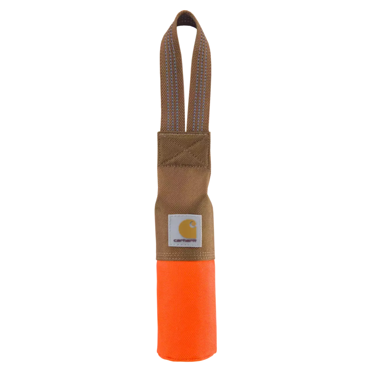 Training Dog Retrieving Bumper