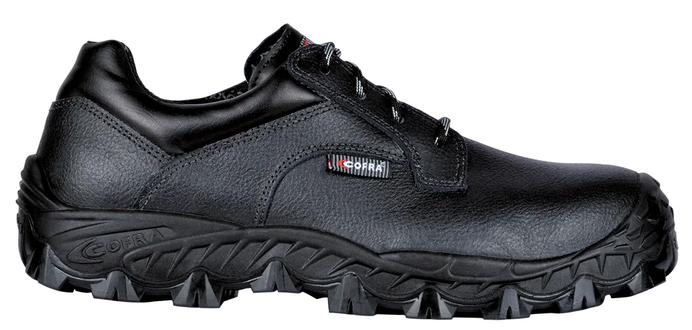 NEW BISMARCK S3 SRC