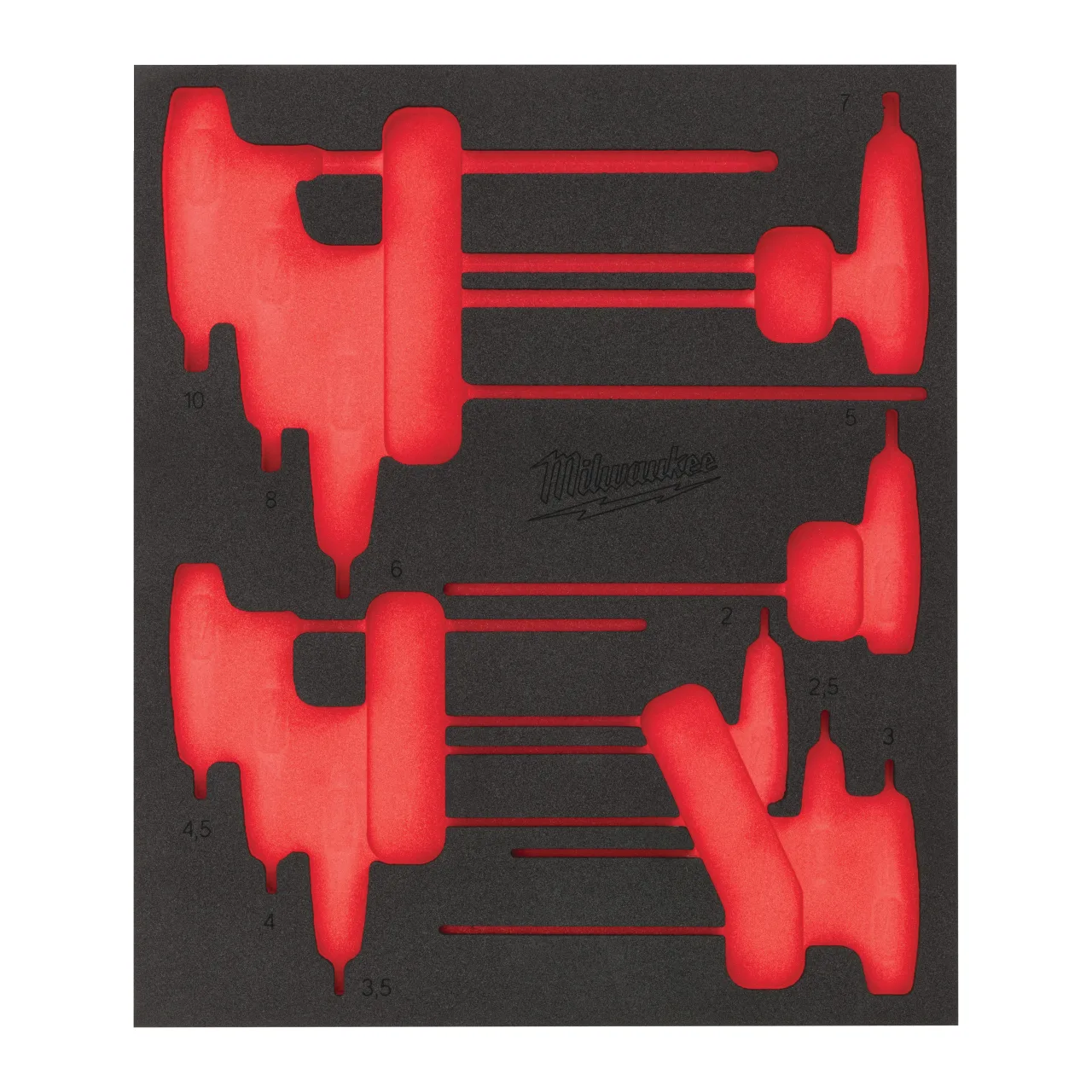11 pc Hex T-Key Set Foam Insert