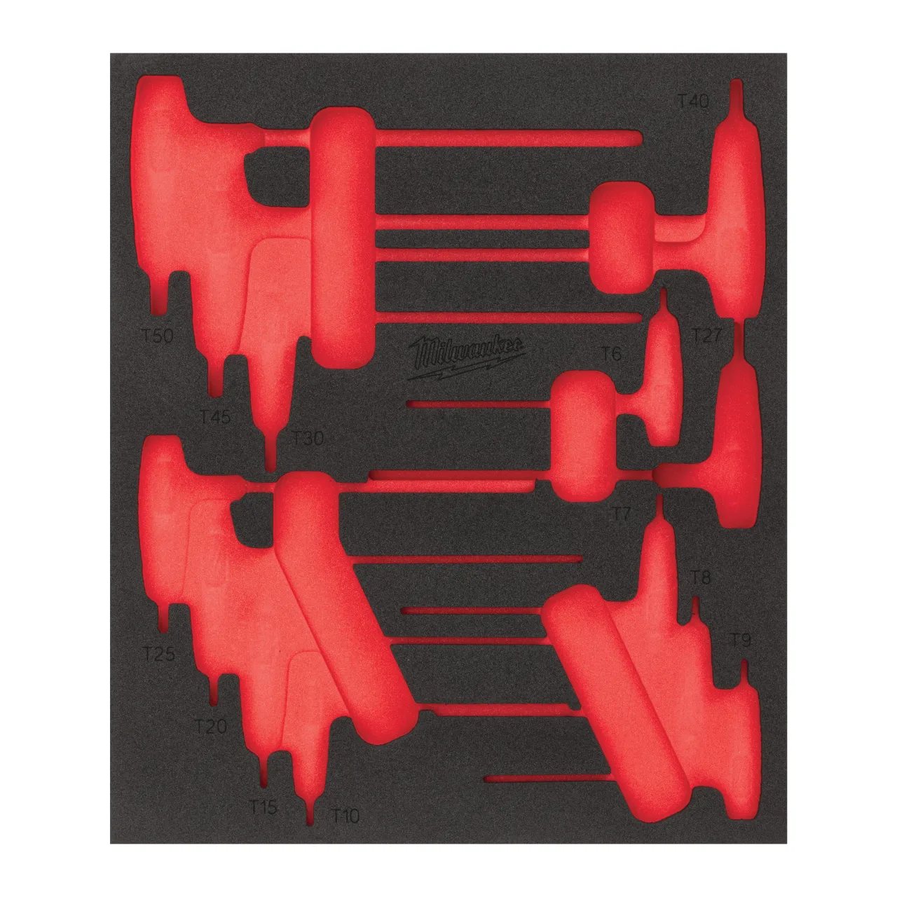 13 pc Torx T-Key Set Foam Insert