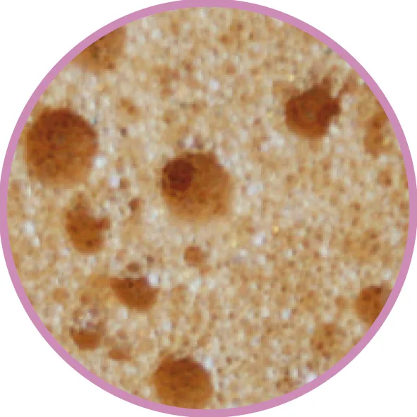 Aperçu 2