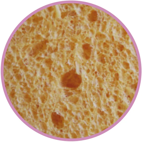 Aperçu 2