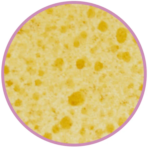 Aperçu 2
