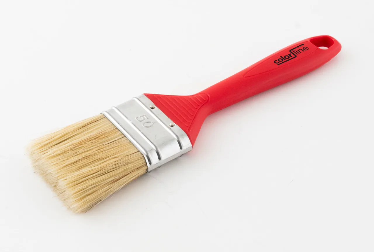 COLOR LINE Brosse de peintre - STD, plate, épaisse, poignée PP, mixtes - 50 mm - ALL (EX BF 41550)