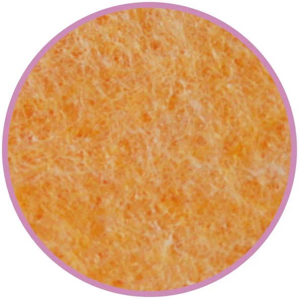 Aperçu 2