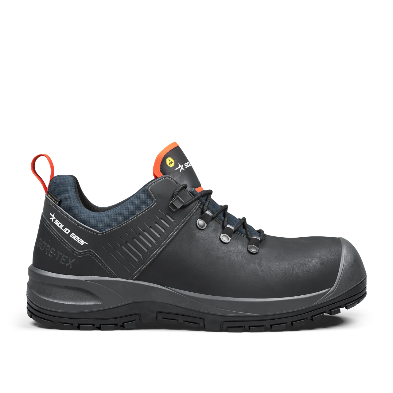 Ion GTX Low
